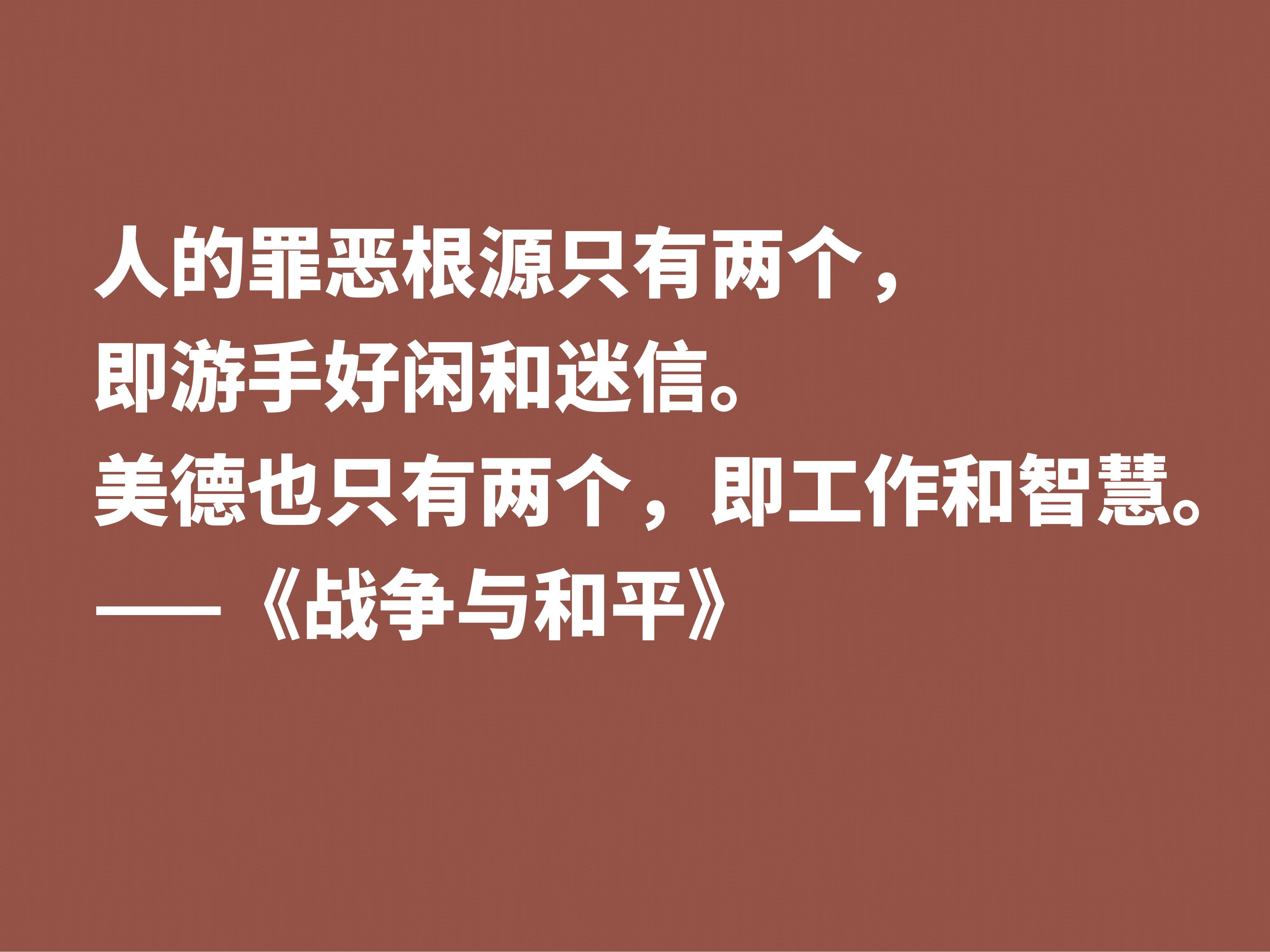 战争与和平好词好句感悟（这十句格言，浓缩全书的精华）